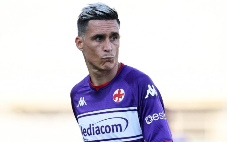 Nuova avventura per Callejon: firma per una squadra spagnola