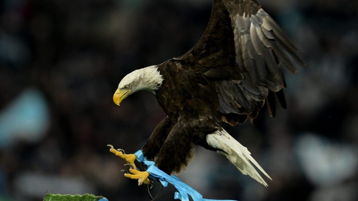 L'ex allenatore della Lazio a scuola di francese | Pronta la firma in Ligue 1: si deve accontentare