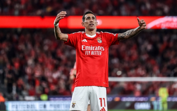 Benfica-Bologna, le formazioni ufficiali